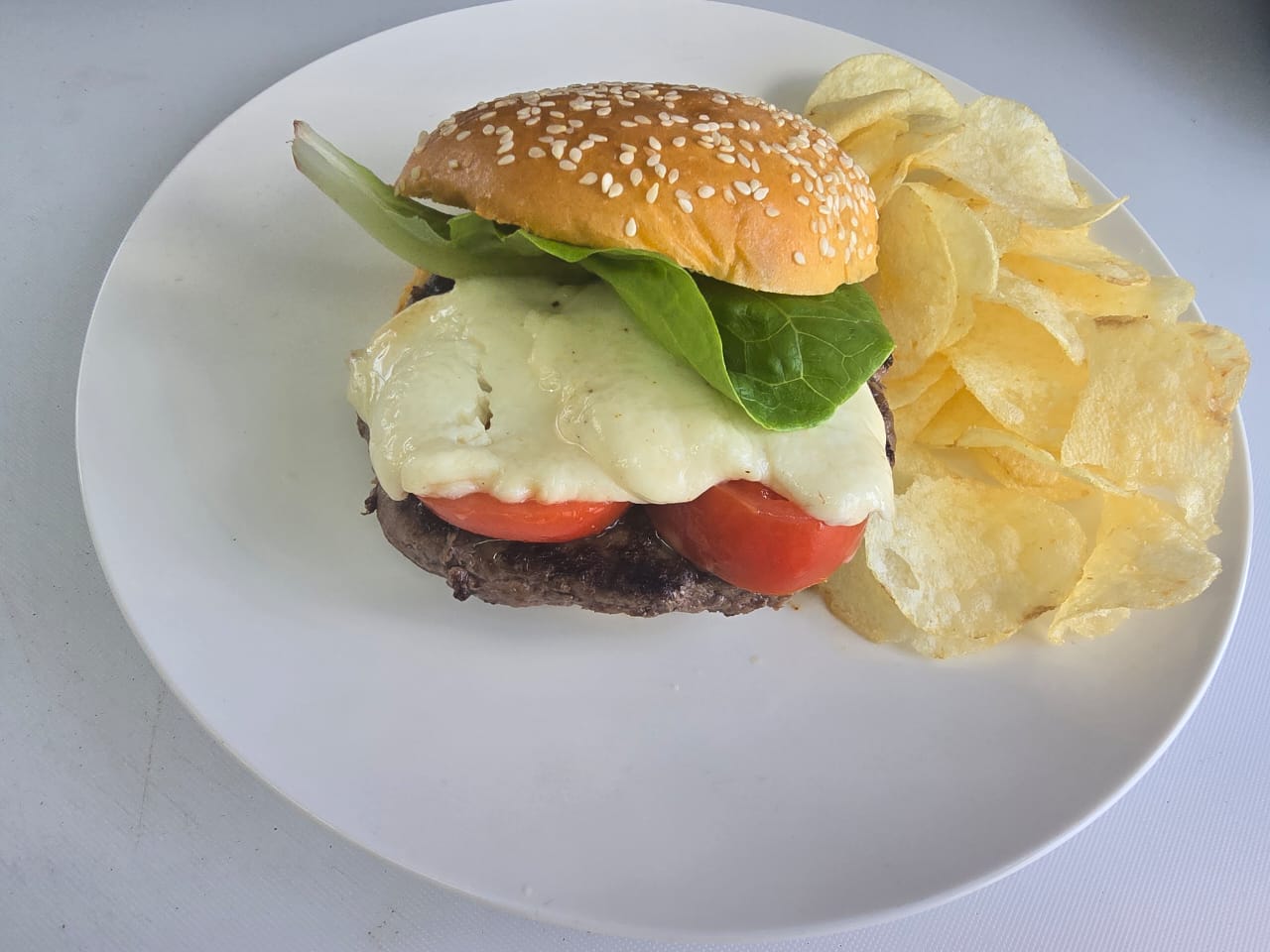 Mozzarella Cheese Burger with chips